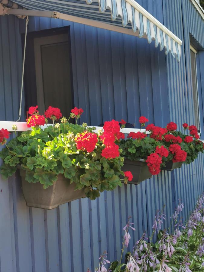 Kambariu Nuoma Ant Mariu Kranto Apartamento Juodkrantė Exterior foto