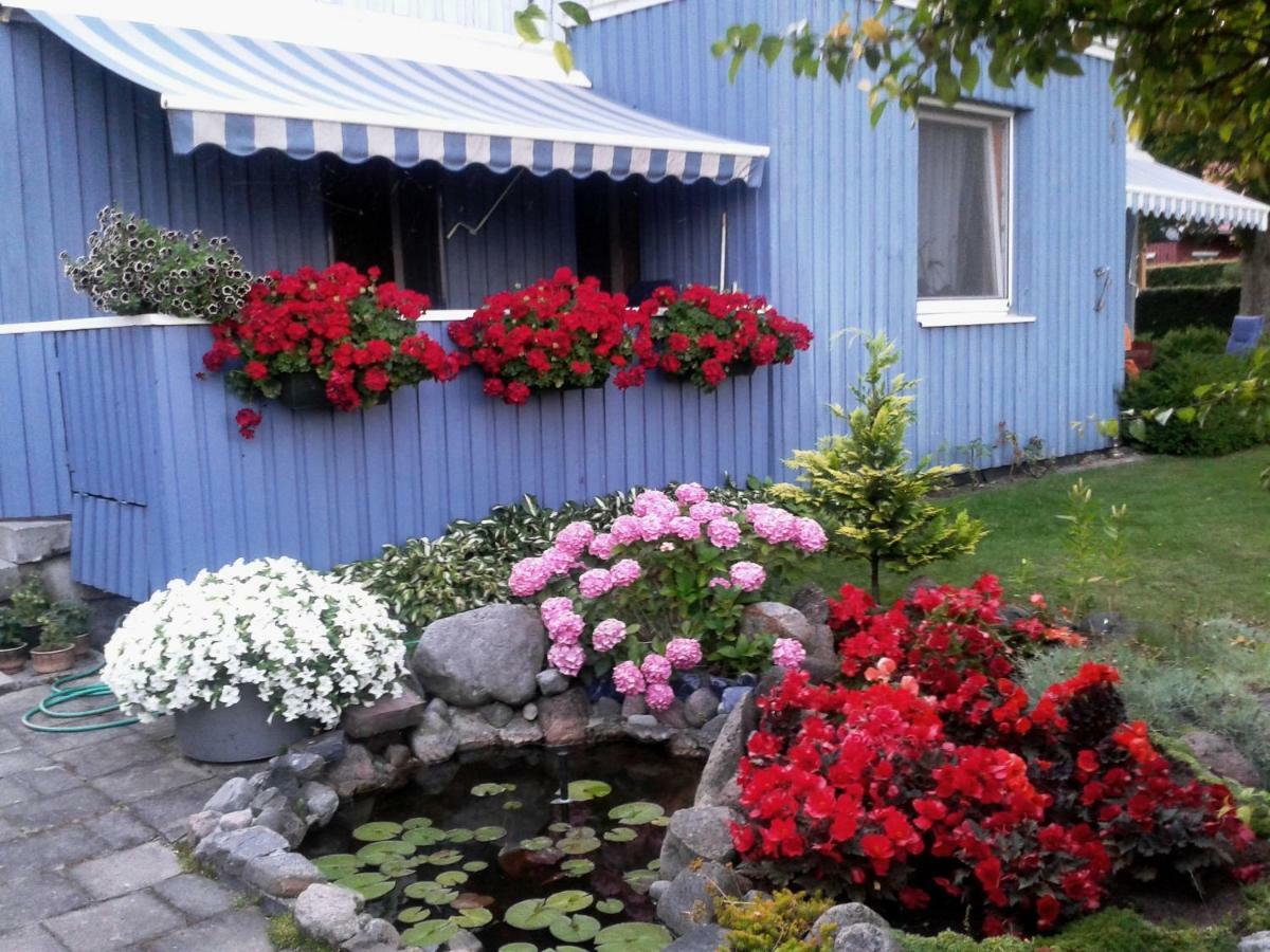 Kambariu Nuoma Ant Mariu Kranto Apartamento Juodkrantė Exterior foto